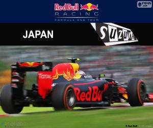 Puzzle de M.Verstappen, GP Japón 2016