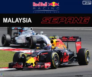 Puzzle de M.Verstappen, GP Malasia 16