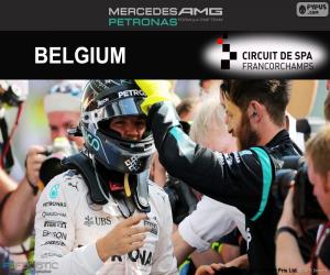 Puzzle de N. Rosberg, GP Bélgica 2016