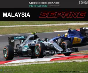 Puzzle de N. Rosberg, GP Malasia 2016