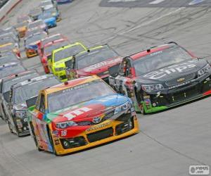 Puzzle de NASCAR Sprint Cup Series