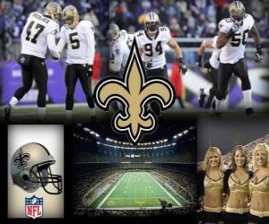 Puzzle de New Orleans Saints