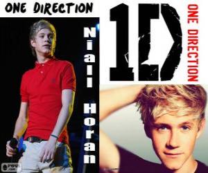 Puzzle de Niall Horan, One Direction