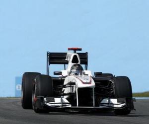 Puzzle de Nick Heidfeld - Sauber - Interlagos 2010