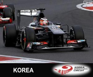 Puzzle de Nico Hulkenberg - Sauber - Circuito Internacional de Corea, 2013