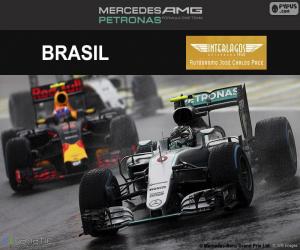 Puzzle de Nico Rosberg GP Brasil 2016