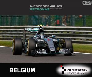 Puzzle de Nico Rosberg, GP Bélgica 15