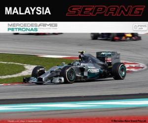 Puzzle de Nico Rosberg - Mercedes - Gran Premio de Malasia 2014, 2º Clasificado