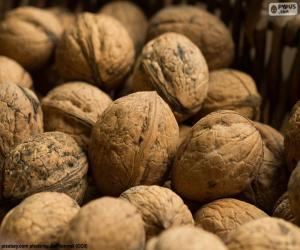 Puzzle de Nueces con cáscara