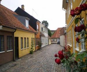Puzzle de Odense, Dinamarca