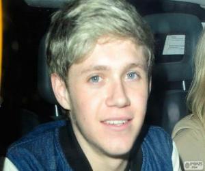 Puzzle de One Direction, Niall Horan