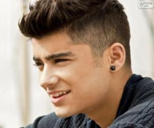 Puzzle de One Direction, Zayn Malik