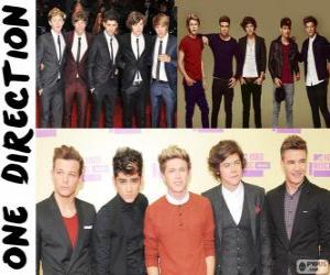 Puzzle de ONE DIRECTION