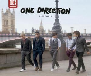 Puzzle de One Thing, One Direction