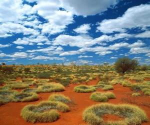 Puzzle de Outback australiano