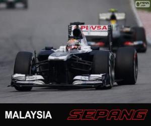 Puzzle de Pastor Maldonado - Williams - Sepang 2013