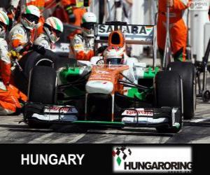 Puzzle de Paul di Resta - Force India - Hungaroring, 2013