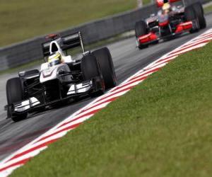 Puzzle de Pedro de la Rosa - BMW Sauber - Sepang 2010