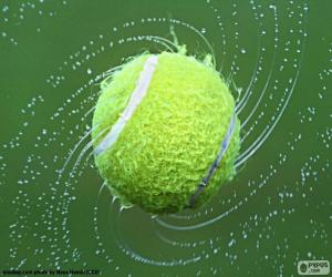 Puzzle de Pelota de tenis mojada