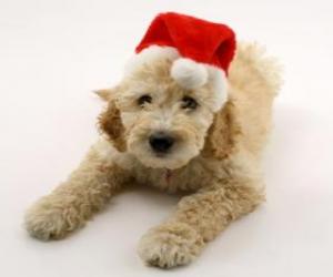 Puzzle de Perrito elegante para las fiestas navideñas con gorro