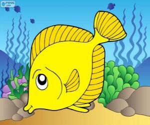 Puzzle de Pez tropical