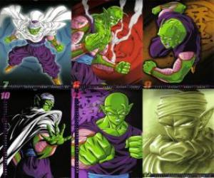 Puzzle de Piccolo un monstruo hijo de Piccolo Daimao y nacido para vengarse de Goku. Procede del planeta Namek. Es el primer maestro de Son Gohan.