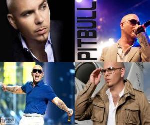 Puzzle de Pitbull (Armando Christian Pérez), es un productor musical de ascendencia cubana