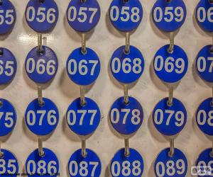 Puzzle de Placas numeradas