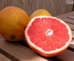 Puzzle de Pomelo