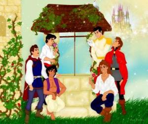 Puzzle de Principes Disney
