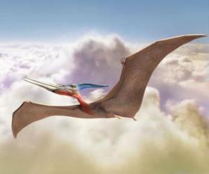 Puzzle de Pterodactyl volando
