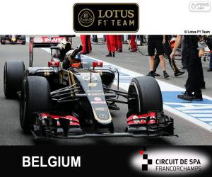 Puzzle de R. Grosjean, GP Bélgica 15
