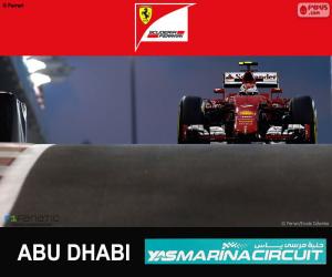 Puzzle de Raikkonen G.P Abu Dabi 2015