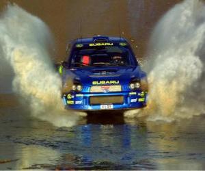 Puzzle de Rally WRC - Pasando por el agua