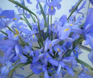 Puzzle de Ramo de lirios