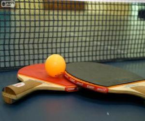 Puzzle de Raquetas y pelota de ping-pong