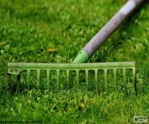 Puzzle de Rastrillo de jardinero