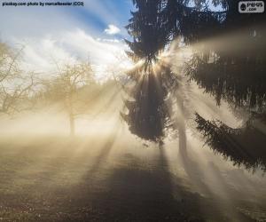 Puzzle de Rayos de Sol