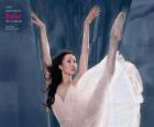 Ballet - Bailarina en acción