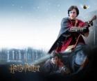 Harry Potter jugando al Quidditch con su escoba mágica como cazador intentando atrapar la bola
