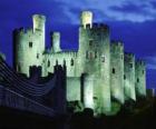 Gran castillo con su puente y torre de acceso
