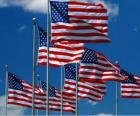 Bandera de Estados Unidos de América o USA