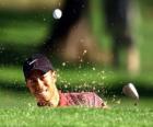 Tiger Woods golpea desde el bunker