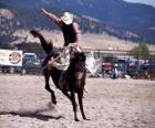 Rodeo - Jinete en la prueba del caballo con montura, montando un caballo salvaje