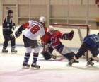 Jugadores y portero en un partido de hockey sobre hielo