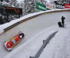 Descenso en bobsleigh o bobsled a dos