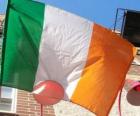 Bandera de Irlanda