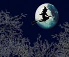 Bruja volando en su escoba mágica en la noche de Halloween
