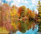 Bonito paisaje del otoño con el reflejo de los árboles en el agua