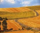 Paisaje del campo en verano